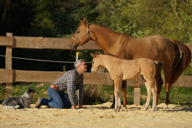 DSC01817_Cowboy2